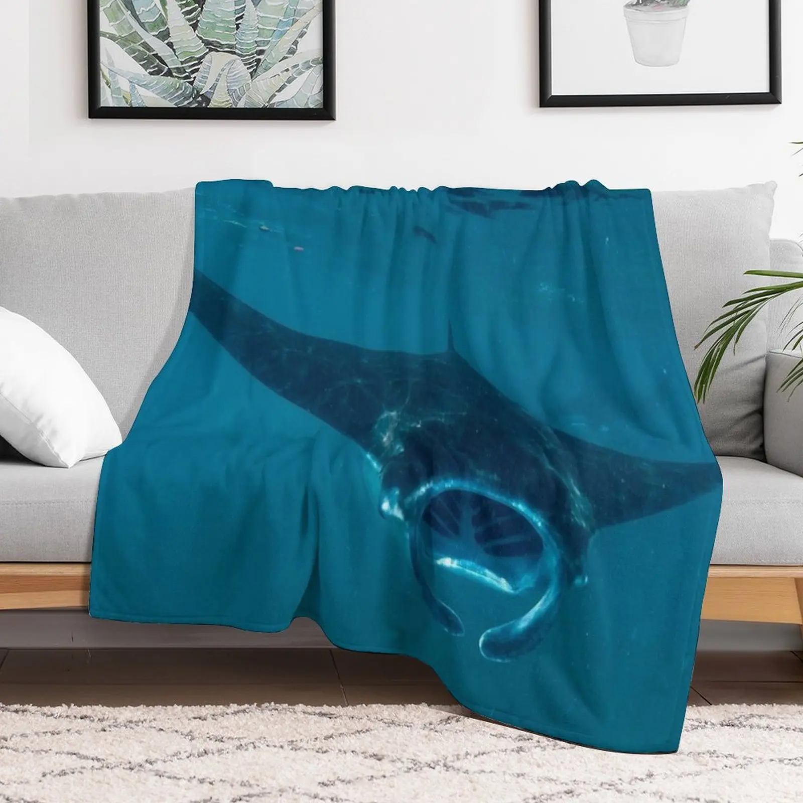 Curious Manta Ray At Crystal B - 3D Printing Bali 评论和价格