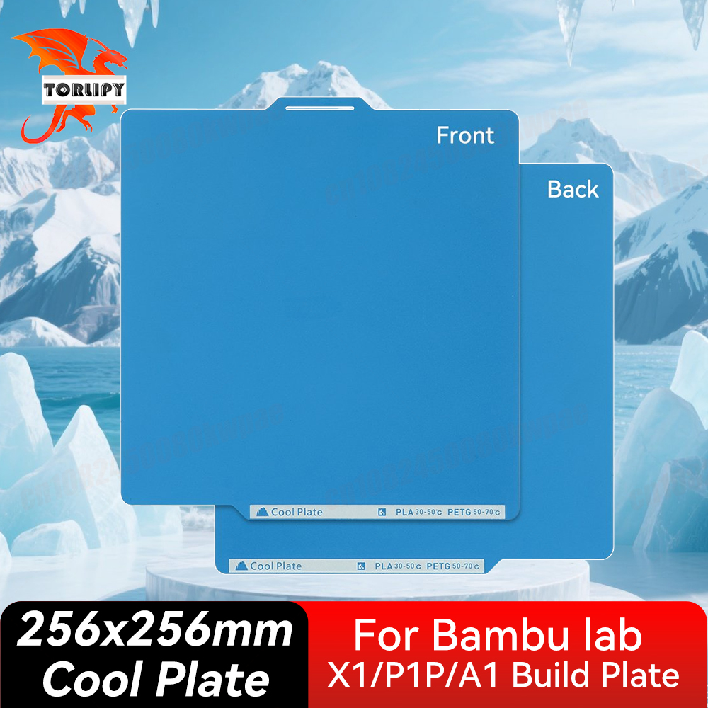 Cold Plate For Bambu Lab X1/P1 - 3D Printer Bed Spring 评论和价格