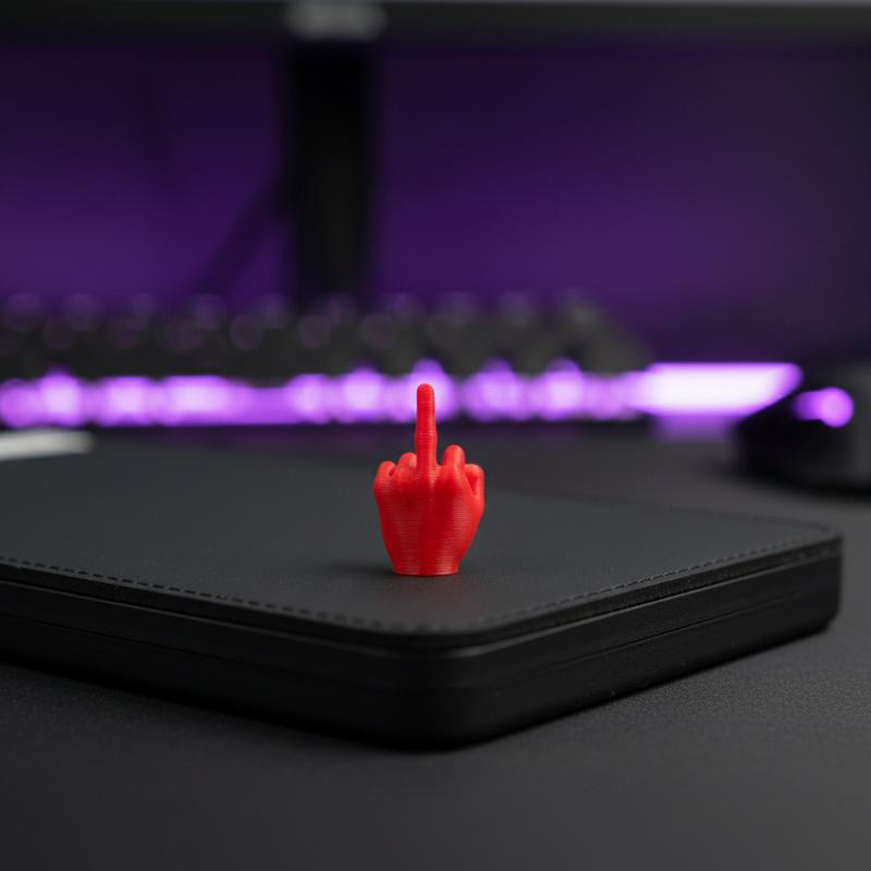 3d Printed Middle Finger Hand  - 3D Printing Gif 评论和价格