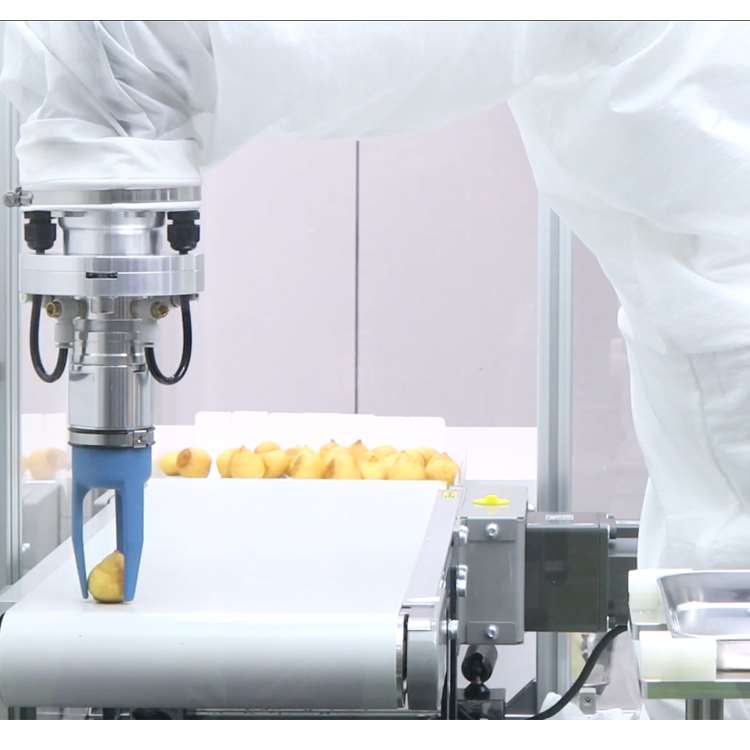 6-Axis CNC Robotic Arm with Li - Linear Guide Rail 评论和价格